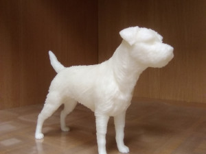 Border terrier dog 3D Принт Модель