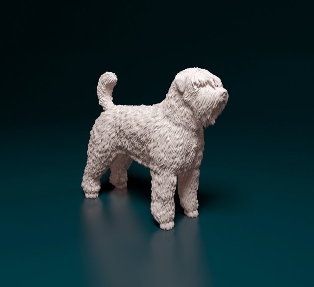 Bouvier des Flandres 3D Druckmodell .c4d .max .obj .3ds .fbx .stl .blend