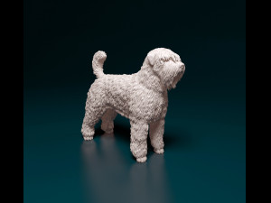 Bouvier des Flandres Modelo de impresión 3D