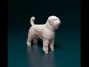 ブービエ デ フランドル 3Dプリントモデル