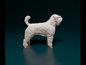 Bouvier des Flandres 3D Druckmodell