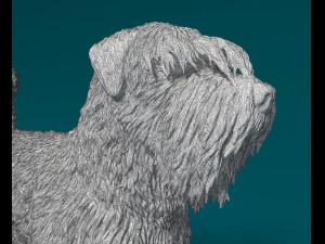 Bouvier des Flandres 3D Druckmodell