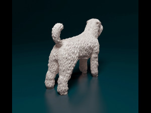 Bouvier des Flandres 3D Druckmodell
