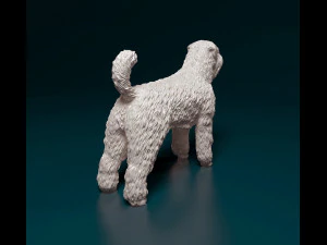 Bouvier des Flandres 3D Print Model