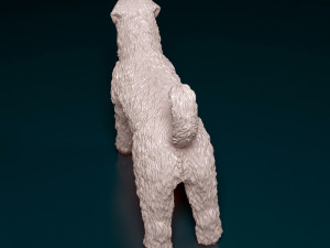Bouvier des Flandres 3D Druckmodell