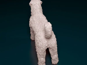 Bouvier des Flandres 3D Print Model