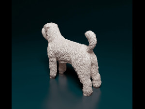 Bouvier des Flandres 3D Druckmodell