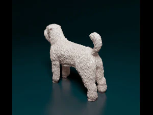 Bouvier des Flandres 3D Print Model
