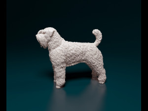 Bouvier des Flandres 3D Druckmodell