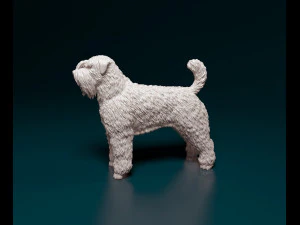 Bouvier des Flandres 3D Print Model