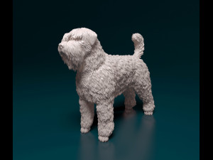 Bouvier des Flandres 3D Druckmodell