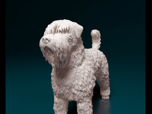 Bouvier des Flandres 3D Druckmodell