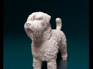Bouvier des Flandres 3D Print Model