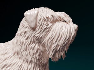 Bouvier des Flandres 3D Druckmodell