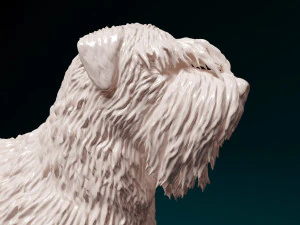 Bouvier des Flandres 3D Print Model