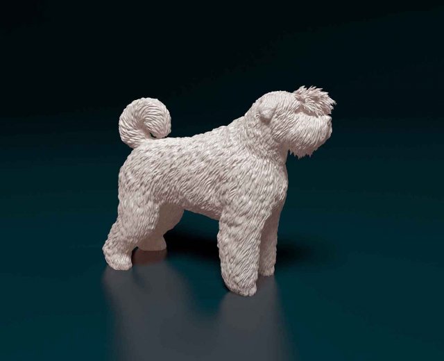 Bouvier des Flandres 2 Modelo de Impressão 3D .c4d .max .obj .3ds .fbx .stl .blend 