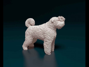 Bouvier des Flandres 2 3D Print Model