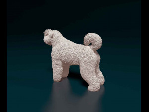 Bouvier des Flandres 2 Modelo de Impressão 3D