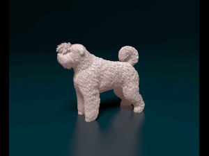 Bouvier des Flandres 2 Modelo de Impressão 3D