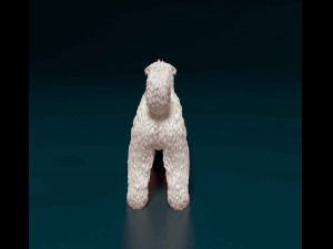 Bouvier des Flandres 2 Modelo de Impressão 3D