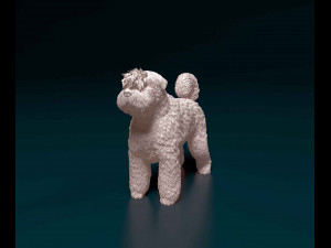 Bouvier des Flandres 2 Modelo de Impressão 3D