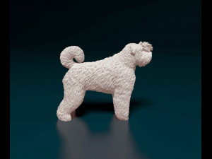 Bouvier des Flandres 2 Modelo de Impressão 3D