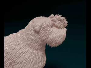 Bouvier des Flandres 2 Modelo de Impressão 3D