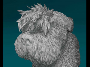 Bouvier des Flandres 2 Modelo de Impressão 3D