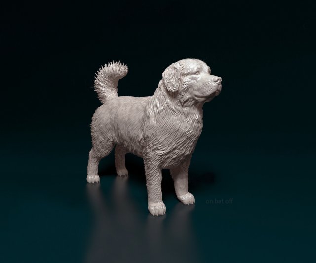 Bovaro del Bernese 3D 打印模型 .c4d .max .obj .3ds .fbx .stl .blend 