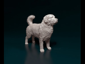 Bovaro del Bernese 3D-Druckmodell