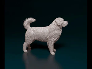 Bovaro del Bernese 3D Print Model