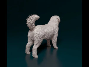 Bovaro del Bernese 3D Print Model