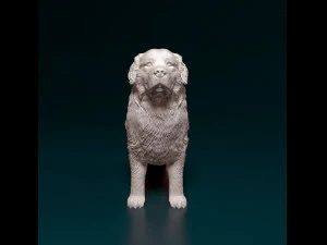 Bovaro del Bernese 3D Print Model