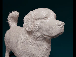 Bovaro del Bernese 3D Print Model