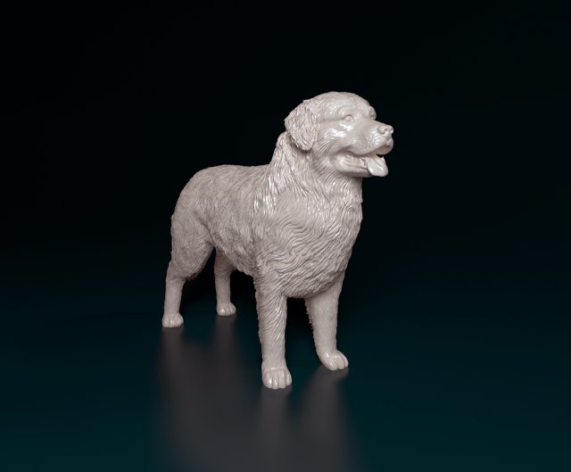 Bovaro del bernese 2 3D-printmodel .c4d .max .obj .3ds .fbx .stl .blend 
