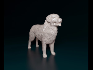 Bovaro del bernese 2 3D Print Model