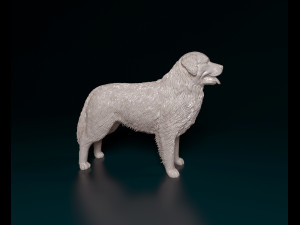 Bovaro del bernese 2 3D-printmodel