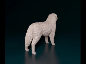 Bovaro del bernese 2 3D Print Model