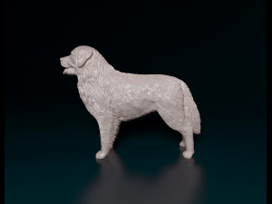 Bovaro del bernese 2 3D-printmodel