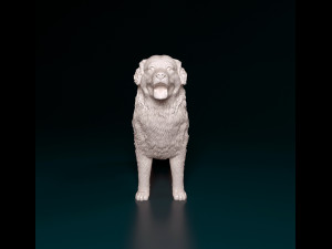 Bovaro del bernese 2 3D-printmodel