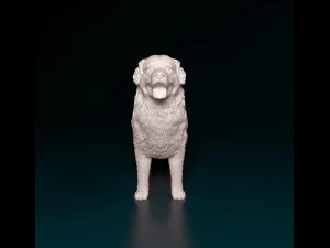 Bovaro del bernese 2 3D Print Model