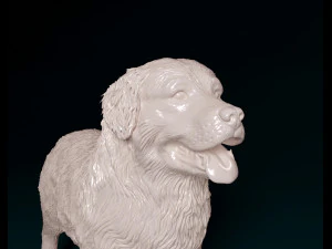 Bovaro del bernese 2 3D Print Model
