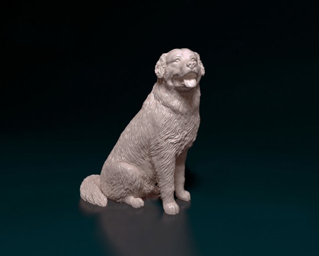 Bovaro del bernese sitting Model do druku 3D .c4d .max .obj .3ds .fbx .stl .blend 
