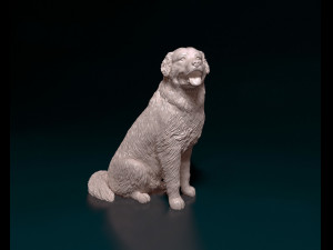 Bovaro del bernese sitting 3D Принт Модель