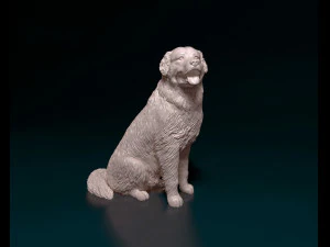 Bovaro del bernese sitting 3D Print Model