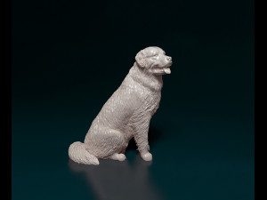 Bovaro del bernese sitting Model do druku 3D