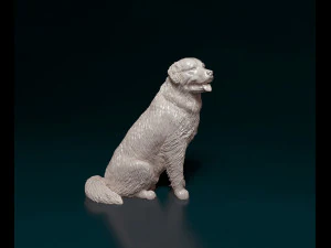 Bovaro del bernese sitting 3D Print Model