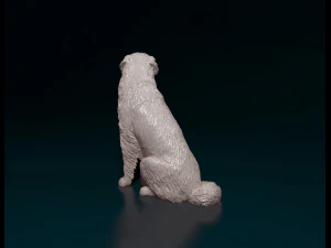 Bovaro del bernese sitting 3D Print Model