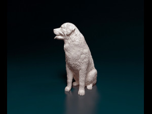 Bovaro del bernese sitting Model do druku 3D