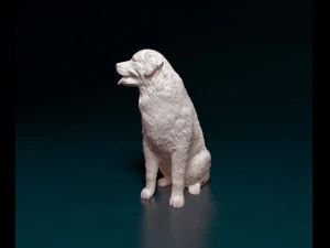 Bovaro del bernese sitting 3D Print Model